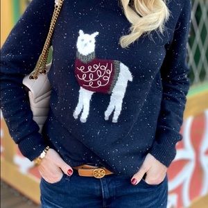 Loft Llama sweater